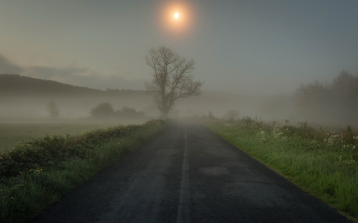 863963 (a): :2560x1600